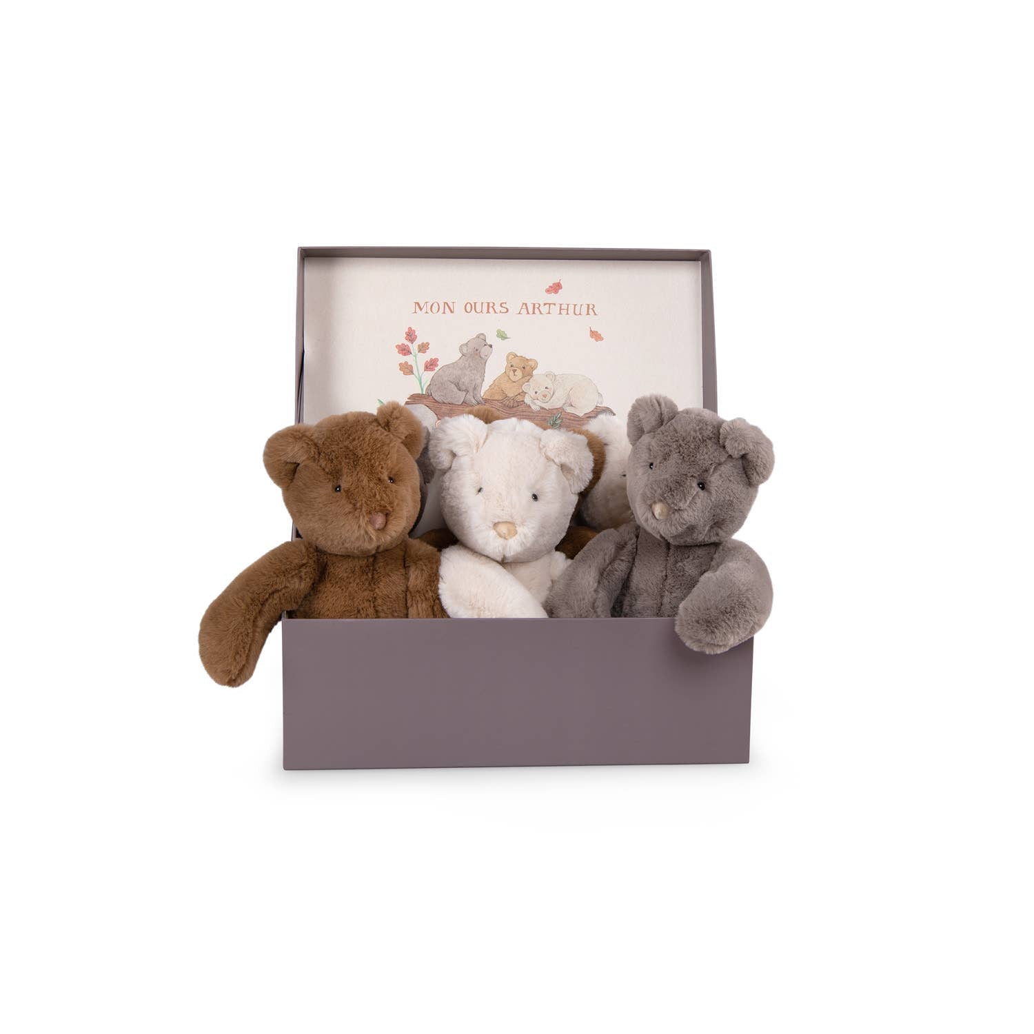 Display box w/6 asstd bears - Arthur & Louison