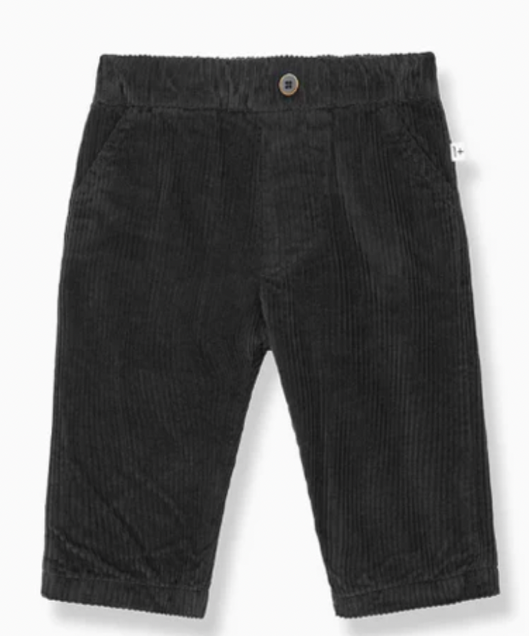 1+ in the family Ovidi Pants  - Anthracite